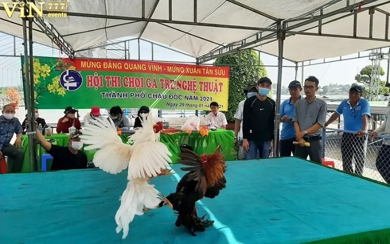 Đá Gà Tre: Luật Chơi, Kinh Nghiệm Chơi Đá Gà Tre Hiệu Quả 2 Đá gà tre